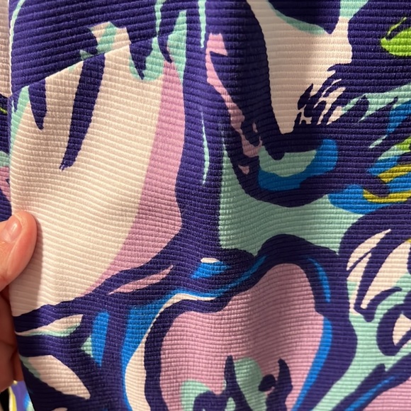 Lilly Pulitzer dress - Picture 3 of 6